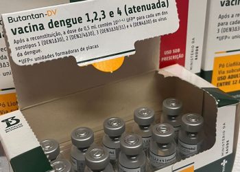Ministério da Saúde suspende vacina contra a dengue do Butantan